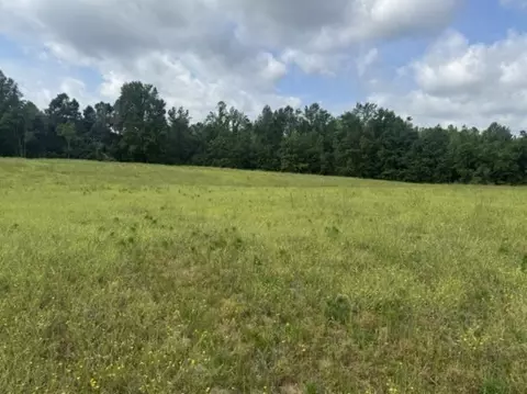 0 Cal Durham Rd, Bethpage, TN 37022 photo 22