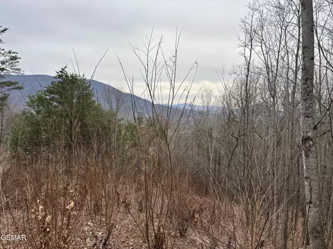19 Dogwood Ridge Way, Sevierville, TN 37862