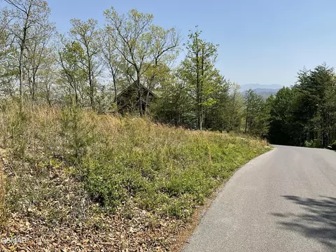 49 Cats Paw Ln, Sevierville, TN 37862