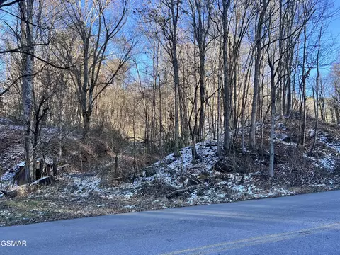 0 Maples Branch Rd, Sevierville, TN 37876