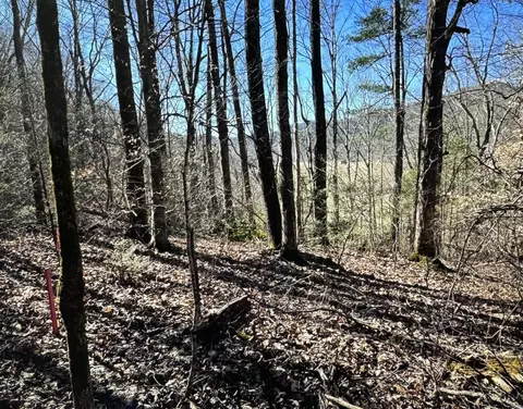 30 Walden Cove Way, Sevierville, TN 37862