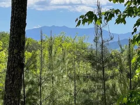 134 Summit Trails Dr, Sevierville, TN 37862