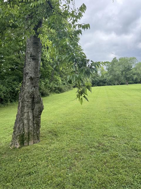 107 Tyne Bay Dr, Hendersonville, TN 37075