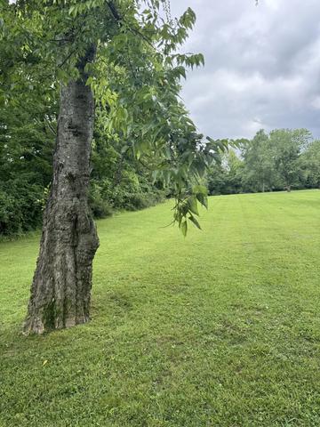 107 Tyne Bay Dr, Hendersonville, TN 37075