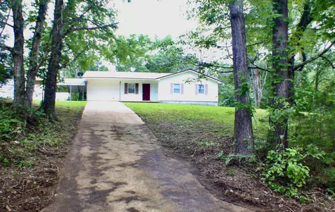 338 Standfill Ln, Olivehill, TN 38475