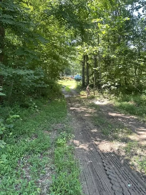 1881 Morris Rd, Holladay, TN 38341