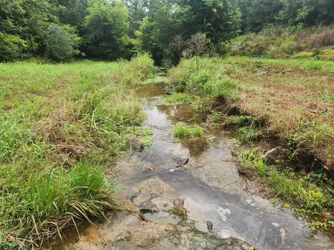 0 Tolbert Hollow Rd, Bradyville, TN 37026