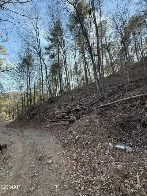 20 Meadow View Rd, Sevierville, TN 37862