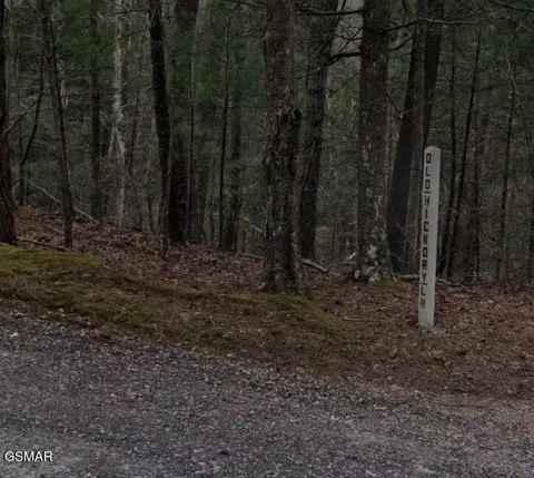 0 Old Hickory Rd, Tellico Plains, TN 37385