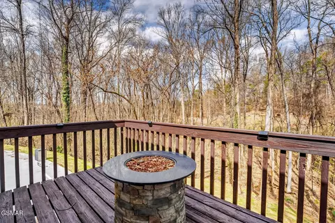 1050 Briar Ct, Talbott, TN 37877 photo 48
