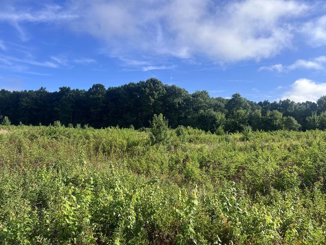 0 Taylors Chapel Rd, Crossville, TN 38572