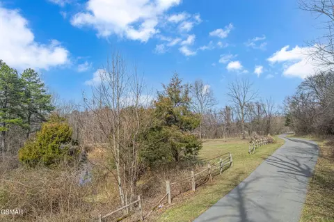 0 Collier Loop, Dandridge, TN 37725 photo 7