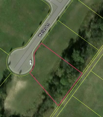 8761 Weller Ln, College Grove, TN 37046