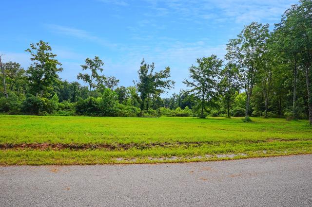 5 Peachers Ln, Indian Mound, TN 37079