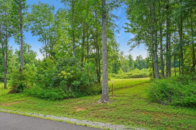 6 Peachers Ln, Indian Mound, TN 37079