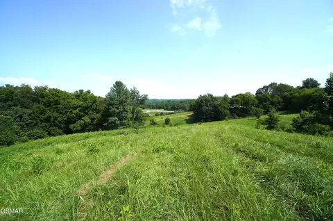 0 Old Greeneville Hwy, Parrottsville, TN 37843