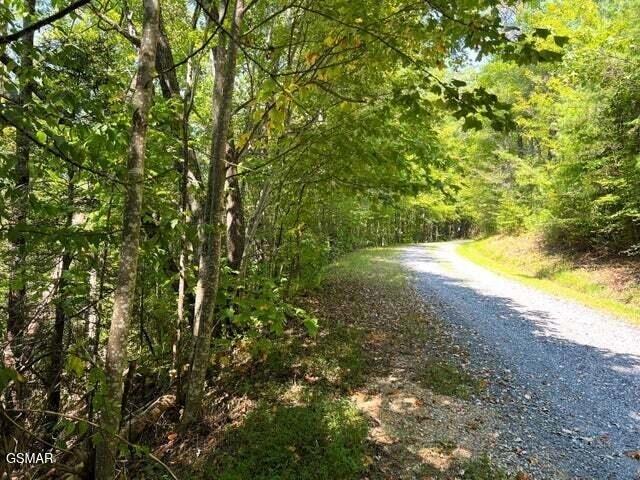 8 Faith Mountain Way, Hartford, TN 37753