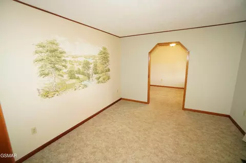 483 Shaver Dr, Talbott, TN 37877 photo 14