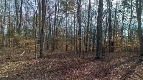 5 Armstrong Dr, Dandridge, TN 37725