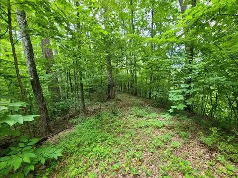 28 Sonshine Ridge Rd, Cosby, TN 37722