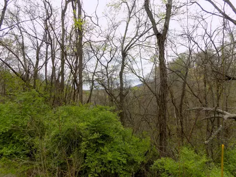 67 Alpha Rd, Newport, TN 37821