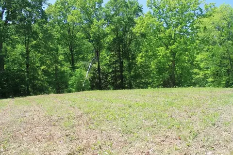0 Rhodes Rd, Dandridge, TN 37725