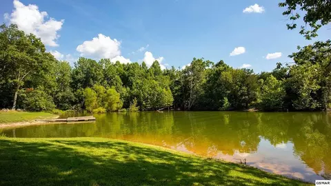 7735 Byron Dr, Talbott, TN 37877 photo 5