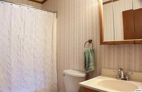 1021 Nease Dr, White Pine, TN 37890 photo 18