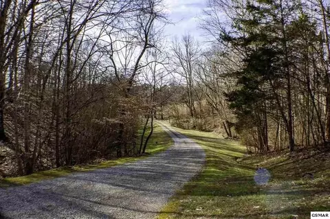 3654 Beth Carr Rd, White Pine, TN 37890 photo 14