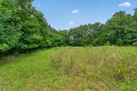 0 Eagle Cliff Rd, Monteagle, TN 37356 photo 17
