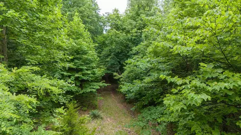 0 Eagle Cliff Rd, Monteagle, TN 37356 photo 11