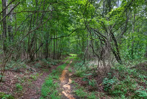 0 Eagle Cliff Rd, Monteagle, TN 37356 photo 10