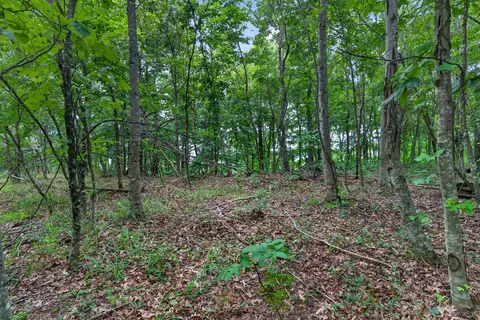0 Eagle Cliff Rd, Monteagle, TN 37356 photo 6