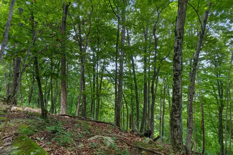 0 Eagle Cliff Rd, Monteagle, TN 37356 photo 7