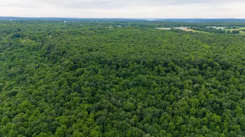 0 Eagle Cliff Rd, Monteagle, TN 37356 photo 22