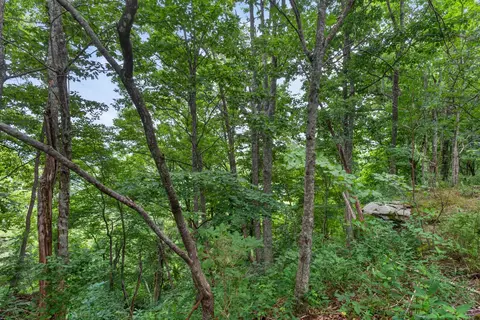 0 Eagle Cliff Rd, Monteagle, TN 37356 photo 8