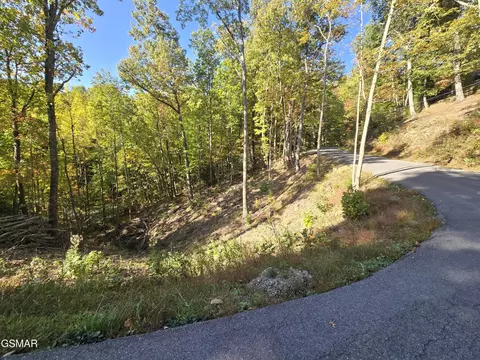 6 Scenic Trl, Gatlinburg, TN 37738