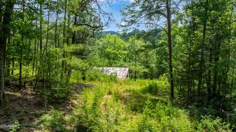 2 Cedar Rd, Pigeon Forge, TN 37863 photo 4