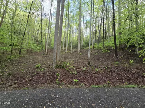 0 Cara Way, Cosby, TN 37722