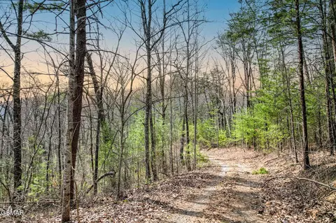 1 Tall Oak Way, Sevierville, TN 37876