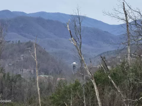 8 Kristis Pl, Gatlinburg, TN 37738