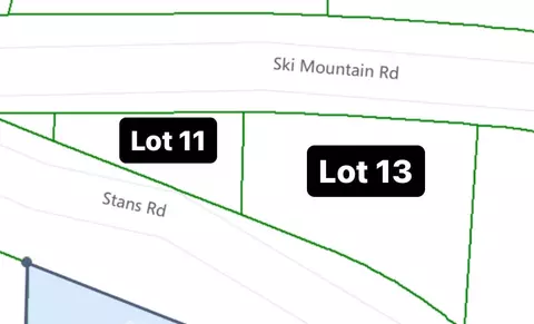 1113 Ski Mountain Roadstans Rd, Gatlinburg, TN 37738