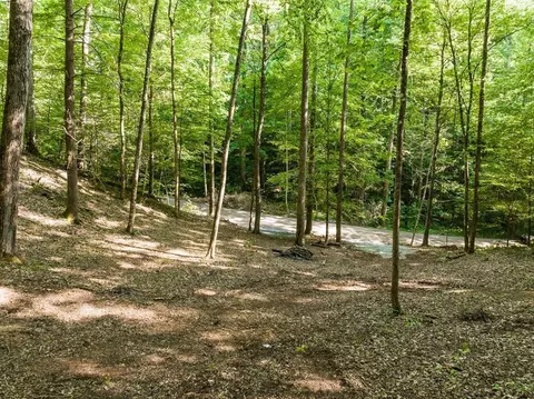 14 Cara Way, Cosby, TN 37722