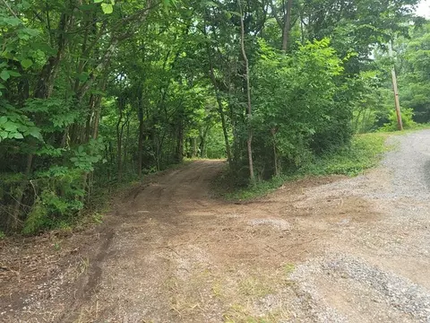 1460 Neddy Mountain Rd, Del Rio, TN 37727