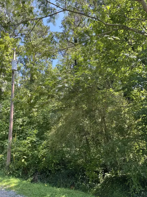 0 Melba Dr, Trion, GA 30753