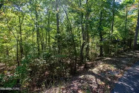 8 Hatcher Top Rd, Sevierville, TN 37862