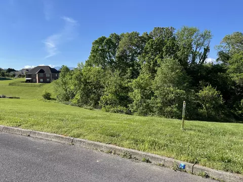10 Alum Cave Cv, Sevierville, TN 37862