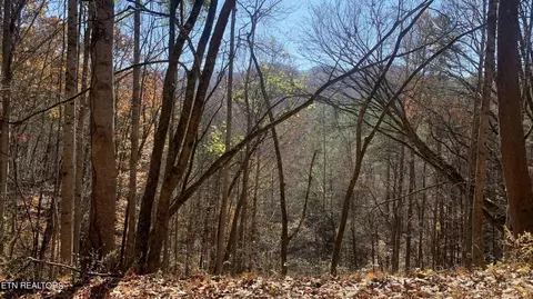 2446 Sunset Rd, Sevierville, TN 37862