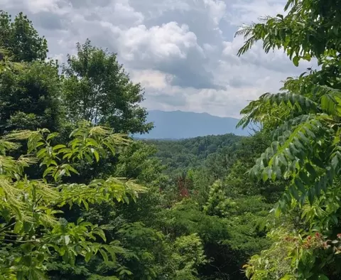 3 Wild Briar Trl, Pigeon Forge, TN 37863