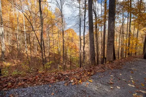 14 Grey Fox Run, Sevierville, TN 37862